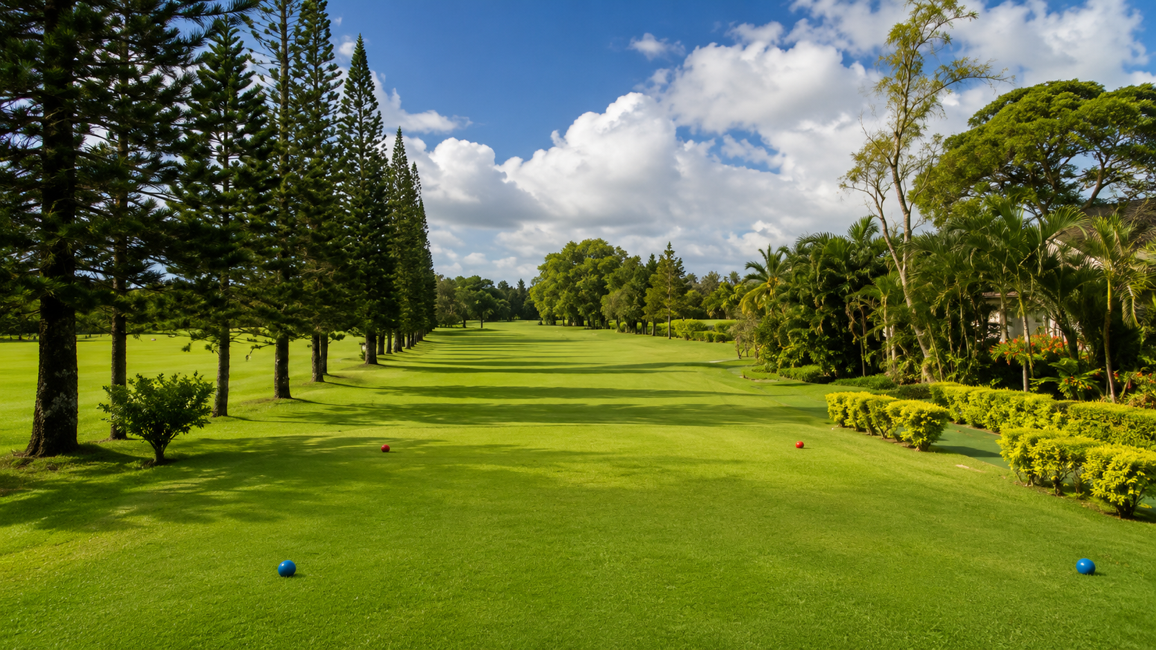 The Mauritius Gymkhana Club grounds at golden hour