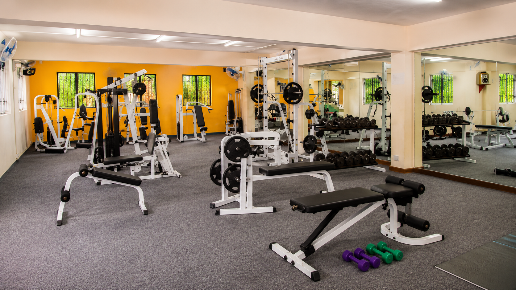 Health & Fitness